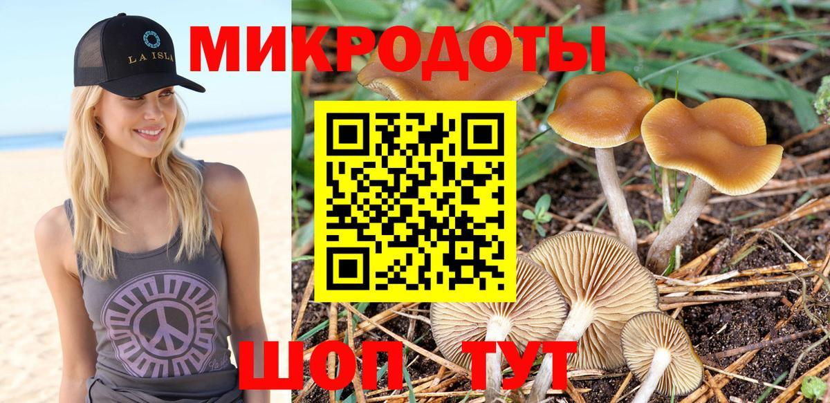Новодвинск  Галлюциногенные грибы Cubensis  сколько стоит  Вход с VPN 