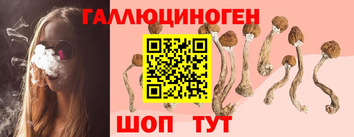 Галлюциногенные грибы мицелий Новодвинск